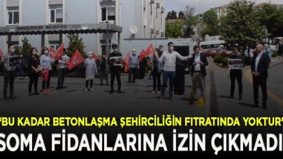 Soma faciası için fidan dikimine izin verilmedi