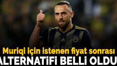 Fenerbahçe'nin yeni santraforu Mirko Maric!