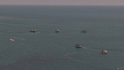 Balıkçıların istavrit bereketi