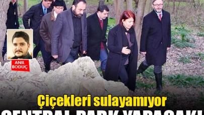 Çiçekleri sulayamıyor central park yapacak!