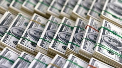 9 bin 11 kişi Türkiye'ye yatırım yapıp vatandaşlık kazandı