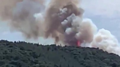 Son dakika… Heybeliada’da orman yangını!