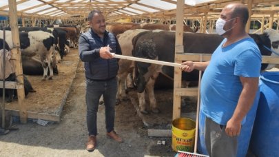 Eyüpsultan'da sopalı kurban pazarlığı