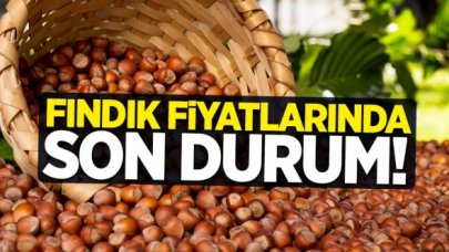 1 Eylül Salı fındık kaç lira? | Son dakika fındık fiyatları