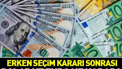 Erken seçim kararı sonrası piyasalar nasıl tepki gösterdi - 19 Nisan dolar ve euro fiyatları
