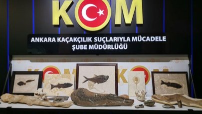 Adnan Oktar'ın kaçak fosilleri, MTA Müzesi'ne teslim edildi