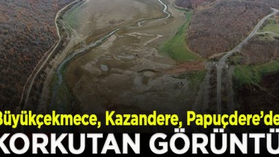 Büyükçekmece, Kazandere ve Papuçdere barajlarında korkutan görüntü; Artık koyunlar otluyor
