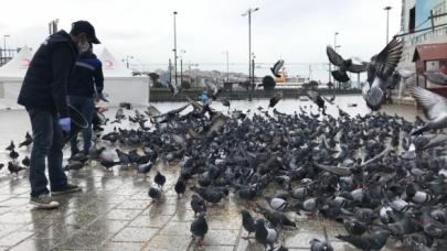 Aç kalma riskleri var