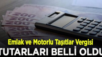 2021 Emlak ve Motorlu Taşıtlar Vergisi tutarları belli oldu