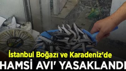 İstanbul Boğazı ve Karadeniz'de 'hamsi avı' yasaklandı