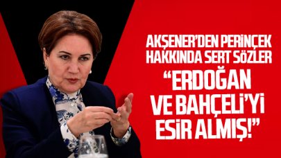 Cinping Perinçek, Erdoğan'ı ve Bahçeli'yi esir almış