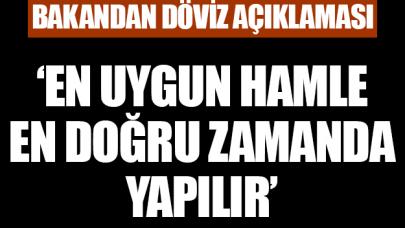 Bakan Zeybekci'den döviz açıklaması