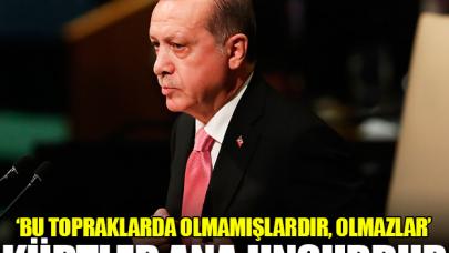 Kürtler sorun değil ana unsurdur