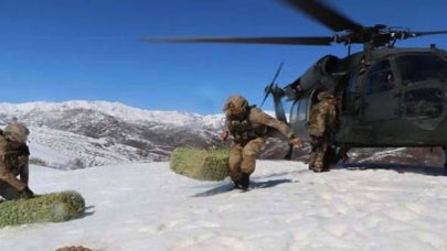 Tunceli'de askeri helikopterle yaban hayvanlarına yem bırakıldı