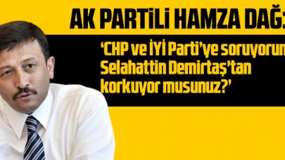 AK Parti Genel Başkan Yardımcısı Hamza Dağ: 'CHP’li ve İYİ Partili aktörlere soruyorum, Selahattin Demirtaş'tan korkuyor musunuz?'