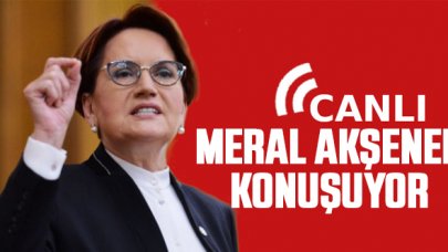 Meral Akşener: Korkunun ecele faydası yok!