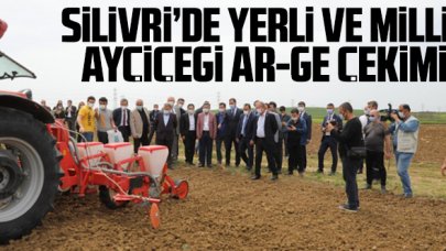 Silivri'de yerli ve milli ayçiçeği AR-GE çekimi