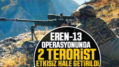Şırnak-Cudi Dağı bölgesinde 2 terörist etkisiz hale getirildi