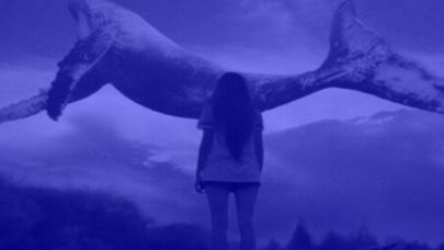 Mavi Balina oyununun yazılımcısı yakalandı