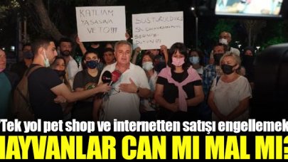 Hayvan Hakları Savunucuları: Hayvanlar can mı mal mı?