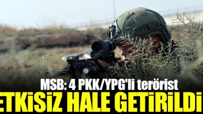 Barış Pınarı bölgesinde 4 terörist etkisiz hale getirildi
