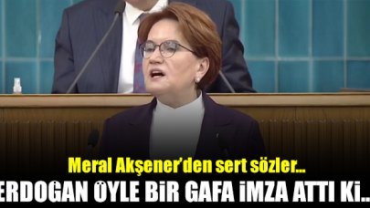 Meral Akşener'den sert sözler: Erdoğan öyle bir gafa imza attı ki...