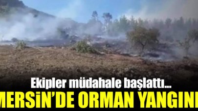 Mersin Aydıncık'ta orman yangını