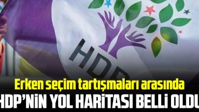 HDP'nin ittifak haritası belli oldu