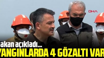 Bakan Pakdemirli açıkladı: Mersin ve Hatay'daki orman yangınlarında 4 gözaltı