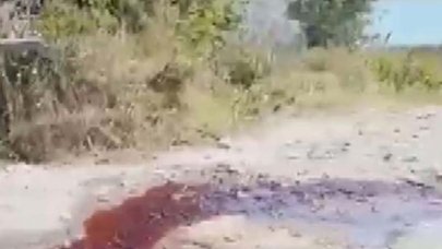 Arnavutköy'de kesilen kurbanların kanı Sazlıdere barajı'na aktı