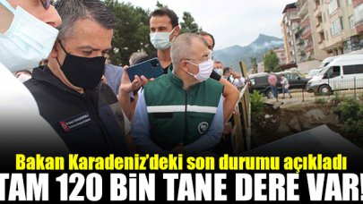 Bakan Bekir Pakdemirli: Karadeniz'de 120 bin dere var