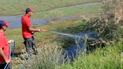 Sivrisinek ısırıkları için uzmanlar uyardı: Bataklıklar kurutulmalı
