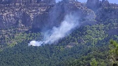 Adana Feke'de orman yangını 
