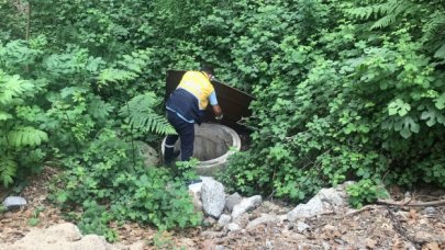 Eyüpsultan'da sinek ilaçlamaları devam ediyor