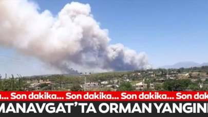 Antalya Manavgat'ta orman yangını