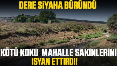 Arnavutköy'de dereden yayılan kötü koku mahalle sakinlerini isyan ettirdi!