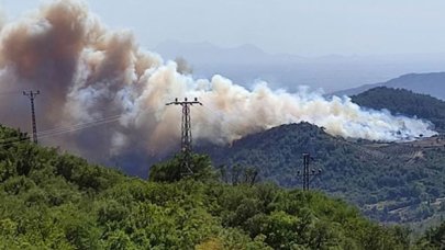 Osmaniye'de orman yangını