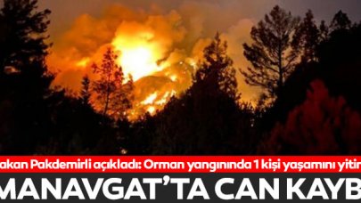 Manavgat'taki orman yangınında can kaybı!