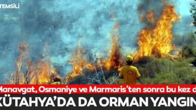Kütahya'da orman yangını!