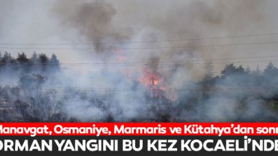 Kocaeli'nde orman yangını!