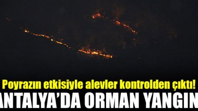 Gazipaşa’da 4 farklı noktada orman yangını