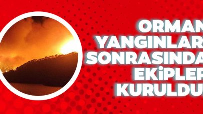 Orman yangınları için özel ekipler kuruldu