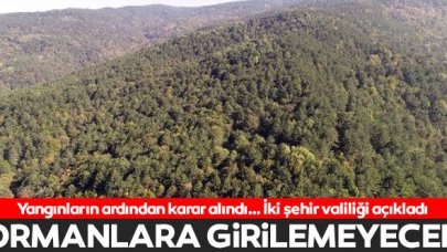 Gaziantep ve Çanakkale'de ormanlara giriş yasağı