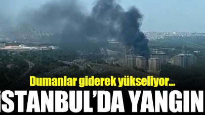 İstanbul'da bir yangın daha!