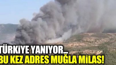 Muğla Milas'ta da orman yangını!