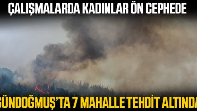 Manavgat'taki büyük yangın 6'ncı gününde