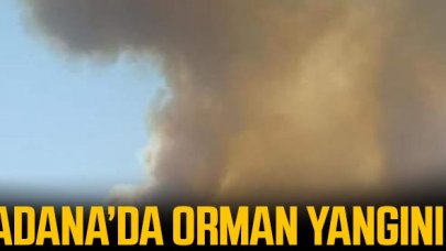 Adana'da orman yangını