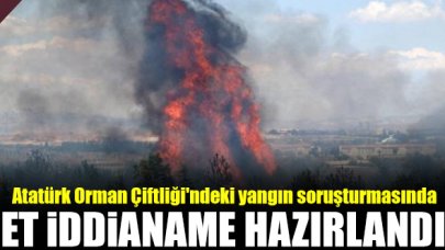 Atatürk Orman Çiftliği yangını soruşturmasında jet iddianame
