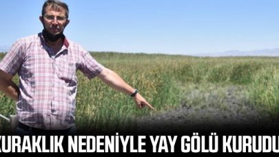 Kayseri'de Yay Gölü susuz kaldı