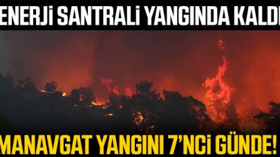 Manavgat'taki büyük yangın 7'nci gününde